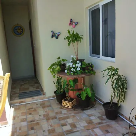 Roomsceibo